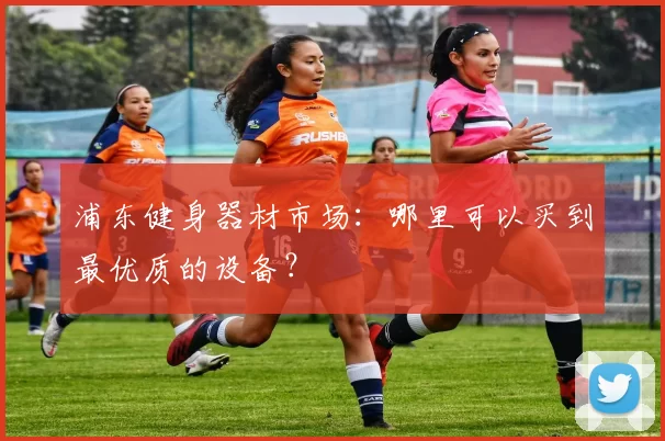 浦东健身器材市场:哪里可以买到最优质的设备?