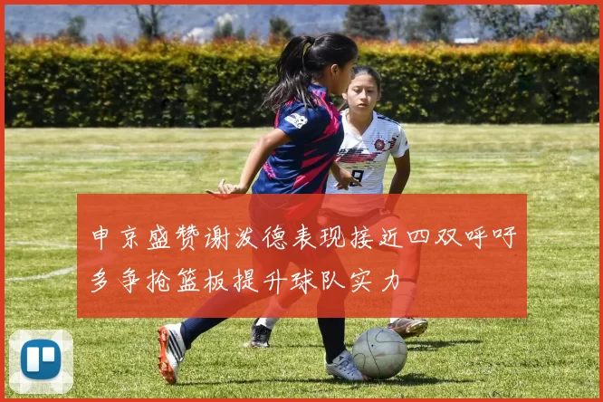 申京盛赞谢泼德表现接近四双呼吁多争抢篮板提升球队实力