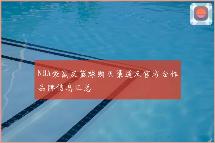 NBA袋鼠皮篮球购买渠道及官方合作品牌信息汇总