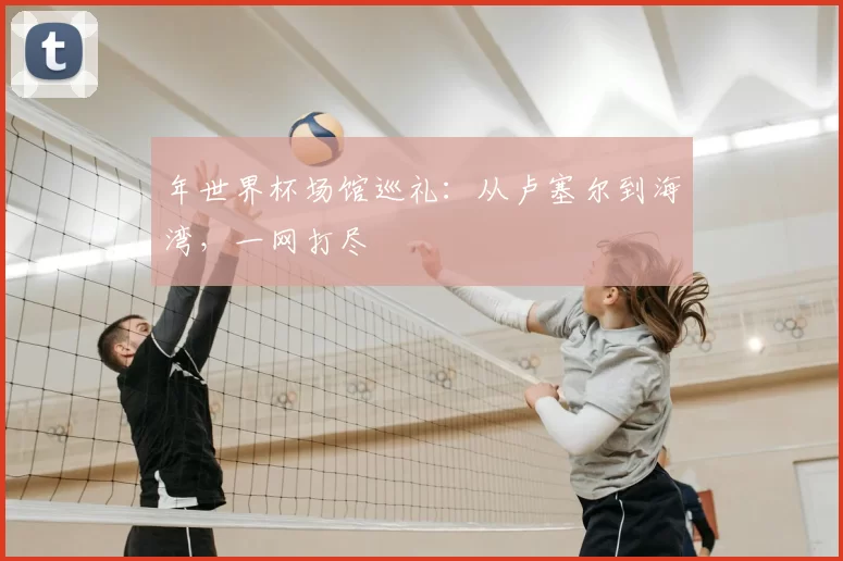 年世界杯场馆巡礼：从卢塞尔到海湾，一网打尽