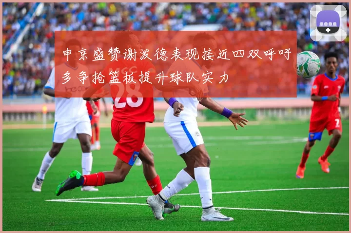 申京盛赞谢泼德表现接近四双呼吁多争抢篮板提升球队实力