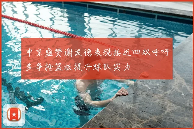 申京盛赞谢泼德表现接近四双呼吁多争抢篮板提升球队实力