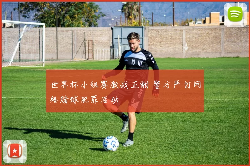 世界杯小组赛激战正酣 警方严打网络赌球犯罪活动