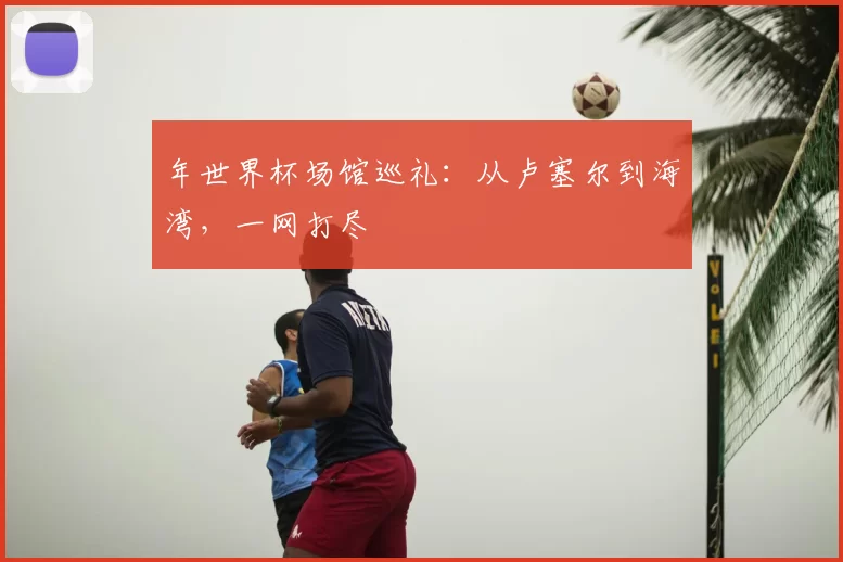 年世界杯场馆巡礼：从卢塞尔到海湾，一网打尽