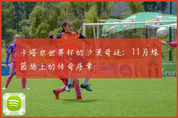 卡塔尔世界杯的沙漠奇迹：11月绿茵场上的传奇序章