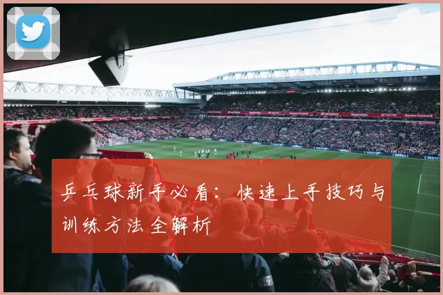 乒乓球新手必看:快速上手技巧与训练方法全解析
