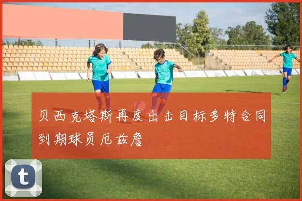 贝西克塔斯再度出击目标多特合同到期球员厄兹詹