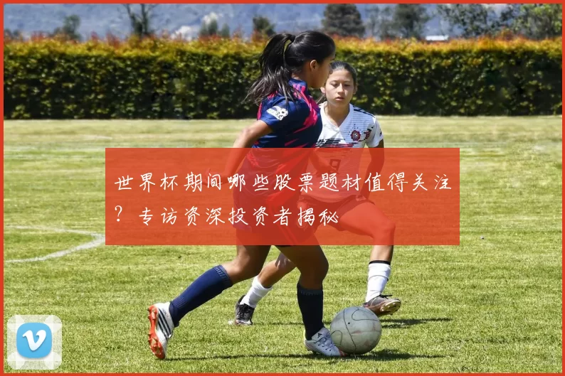世界杯期间哪些股票题材值得关注?专访资深投资者揭秘