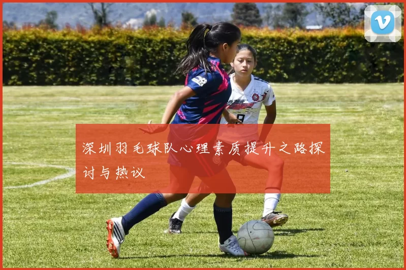 深圳羽毛球队心理素质提升之路探讨与热议