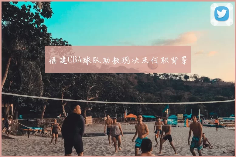 福建CBA球队助教现状及任职背景