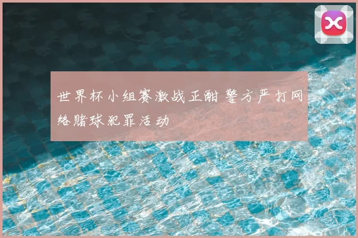 世界杯小组赛激战正酣 警方严打网络赌球犯罪活动