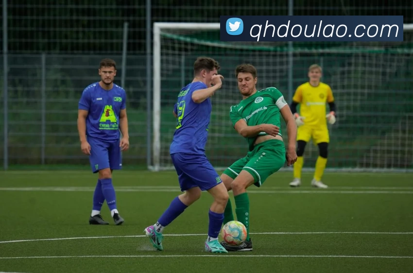 开云平台生态图